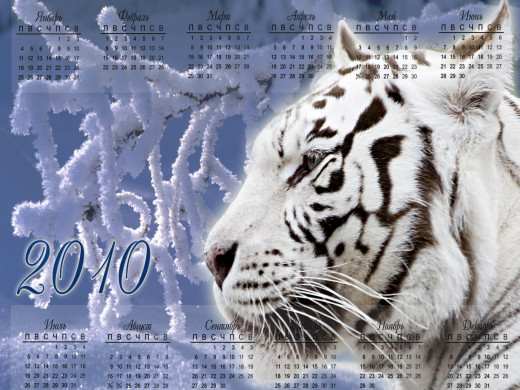 401578 (a): :2048x1536